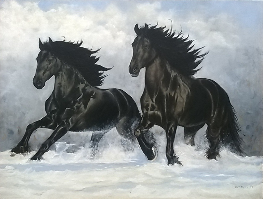 Paarden van Brigitte Corsius