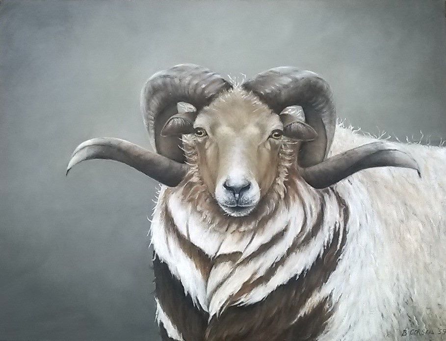 Ram by van Brigitte Corsius