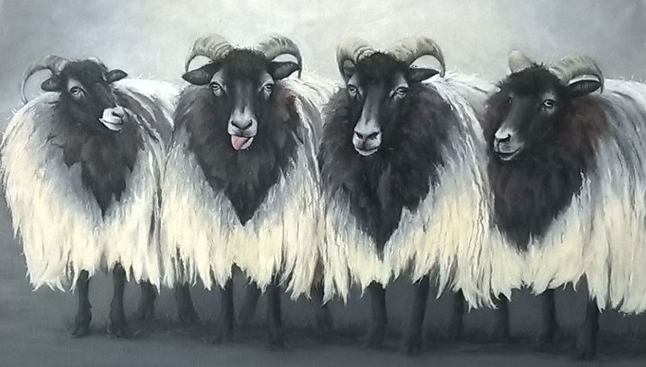 A quartet of heath sheep by Brigitte Corsius